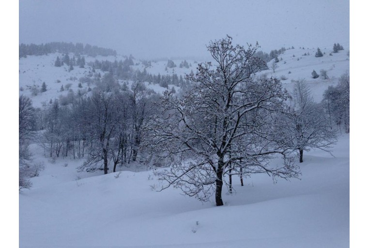 meribel-ski-conditions3