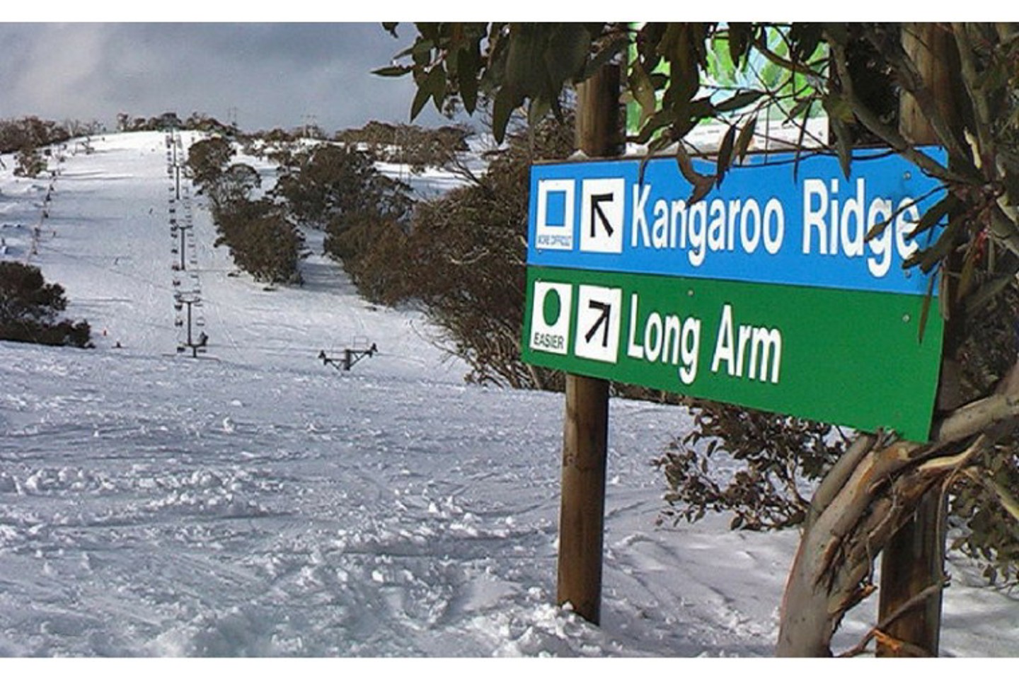 Kangarooridge 800X500 Padwzc2mcw1mtisikzgrkzgriismf0