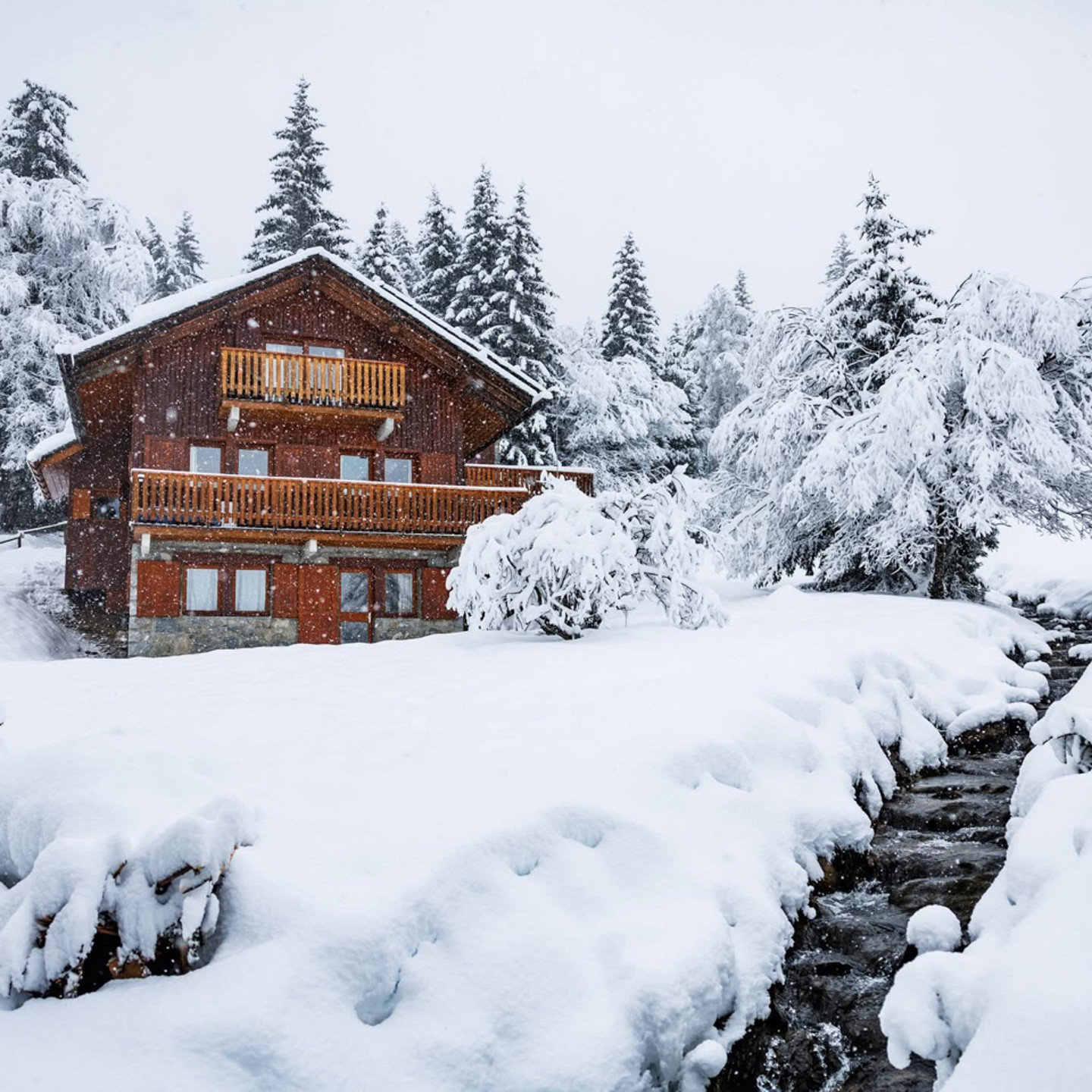 Snowy Scenes At Veronica