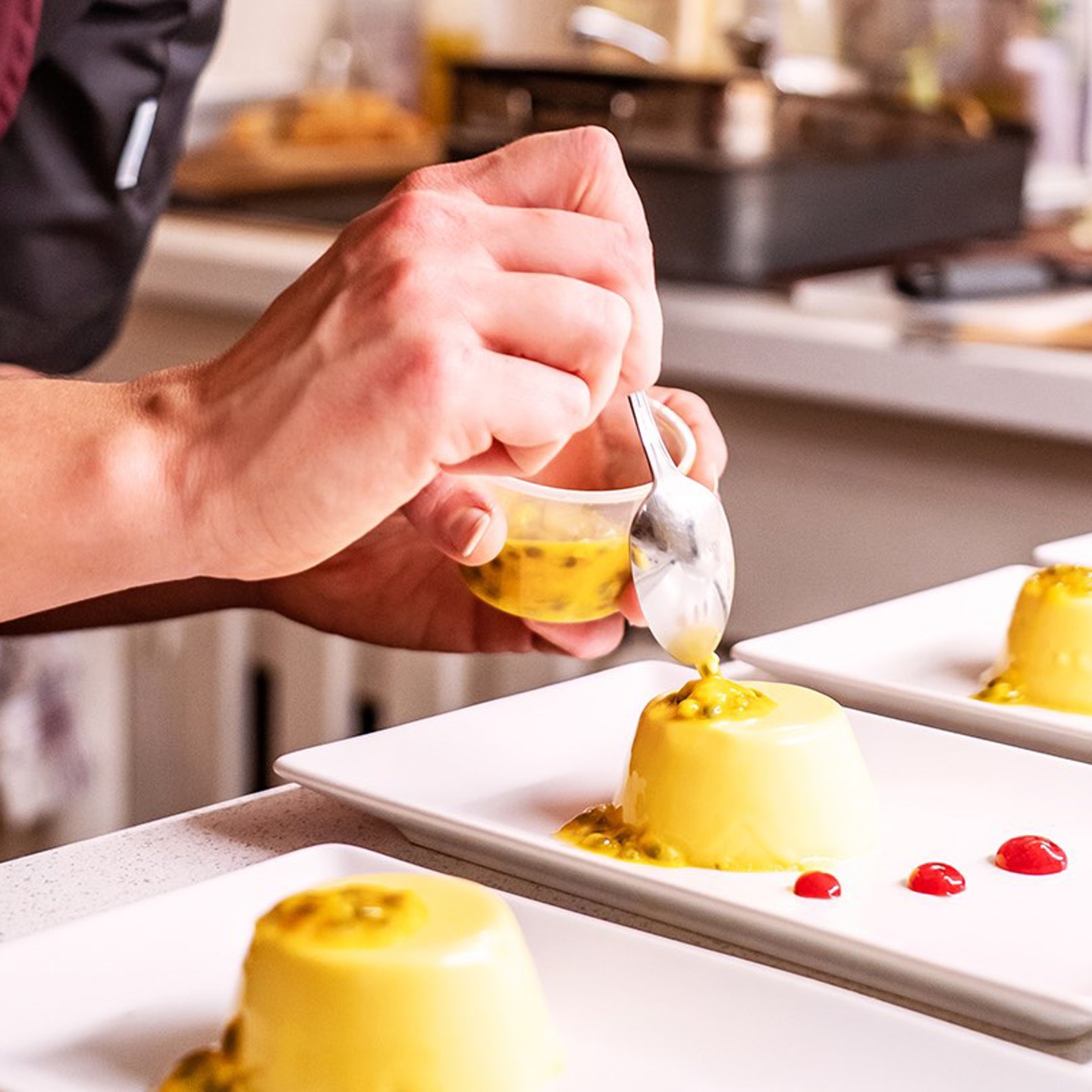 SC Web General Hostchef 01
