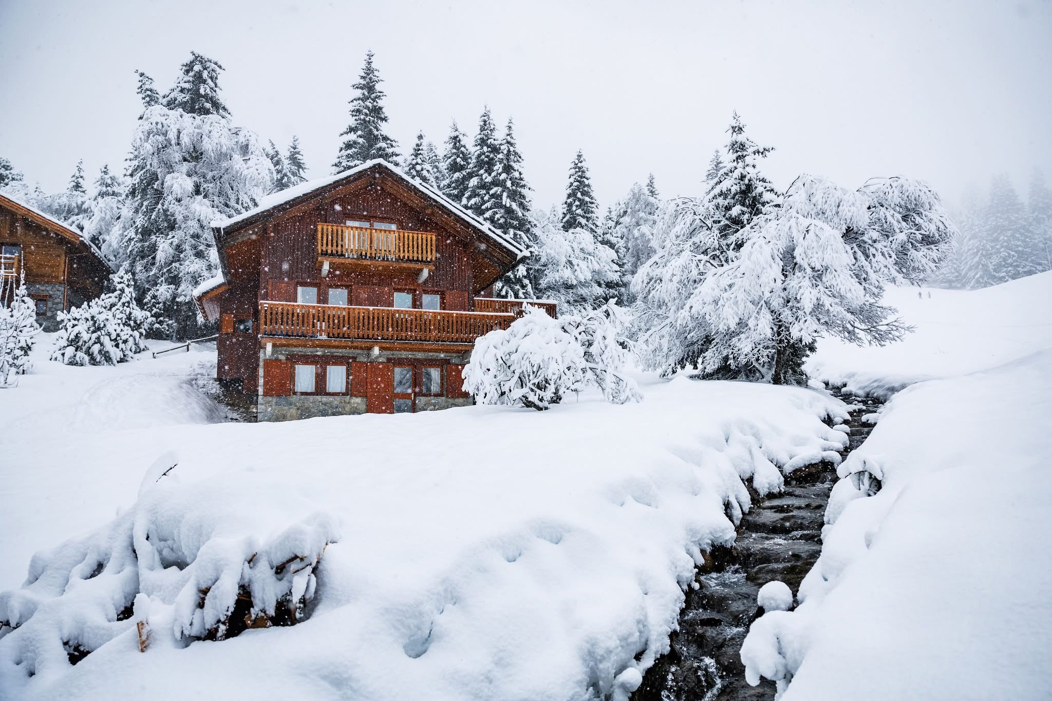 Snowy day at Veronica