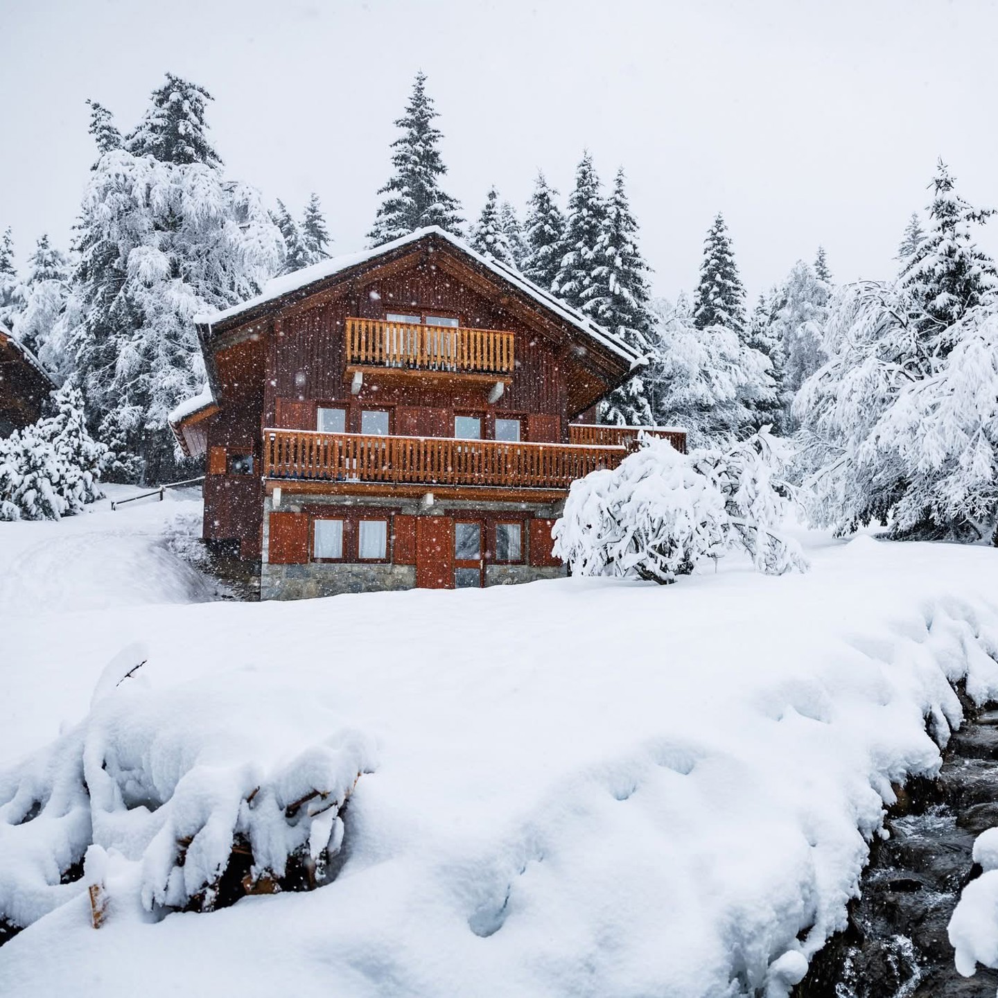 Snowy day at Veronica